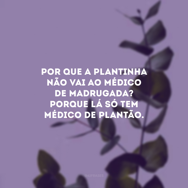 Por que a plantinha não vai ao médico de madrugada? Porque lá só tem médico de plantão. 