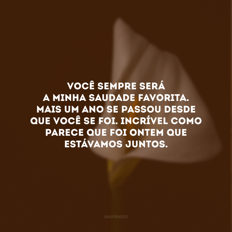 Você sempre será a minha saudade favorita. Mais um ano se passou desde que você se foi. Incrível como parece que foi ontem que estávamos juntos. 