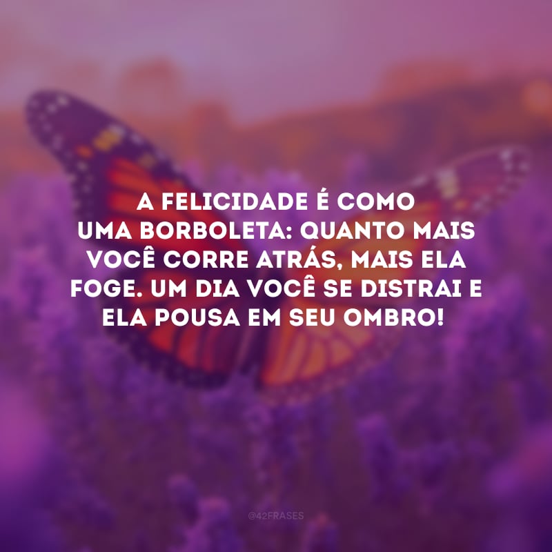 A felicidade é como uma borboleta: quanto mais você corre atrás, mais ela foge. Um dia você se distrai e ela pousa em seu ombro!
