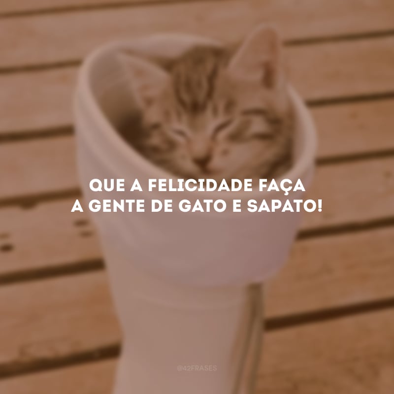 Que a felicidade faça a gente de gato e sapato!
