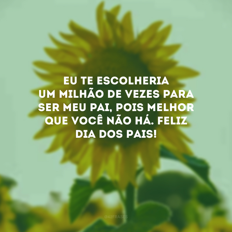 Eu te escolheria um milhão de vezes para ser meu pai, pois melhor que você não há. Feliz Dia dos Pais! 