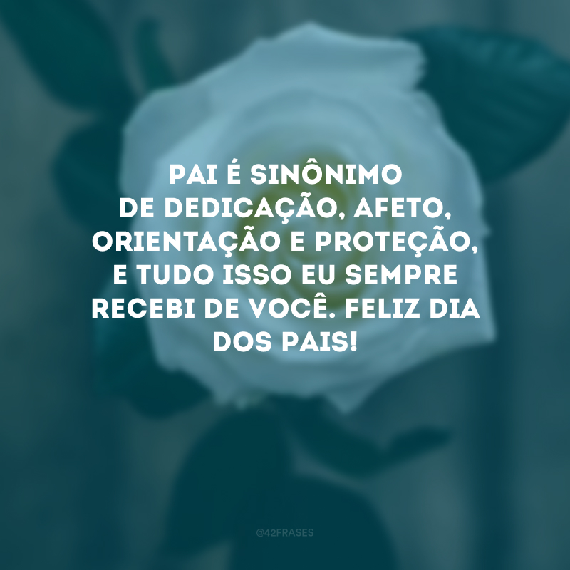 Pai é sinônimo de dedicação, afeto, orientação e proteção, e tudo isso eu sempre recebi de você. Feliz Dia dos Pais! 