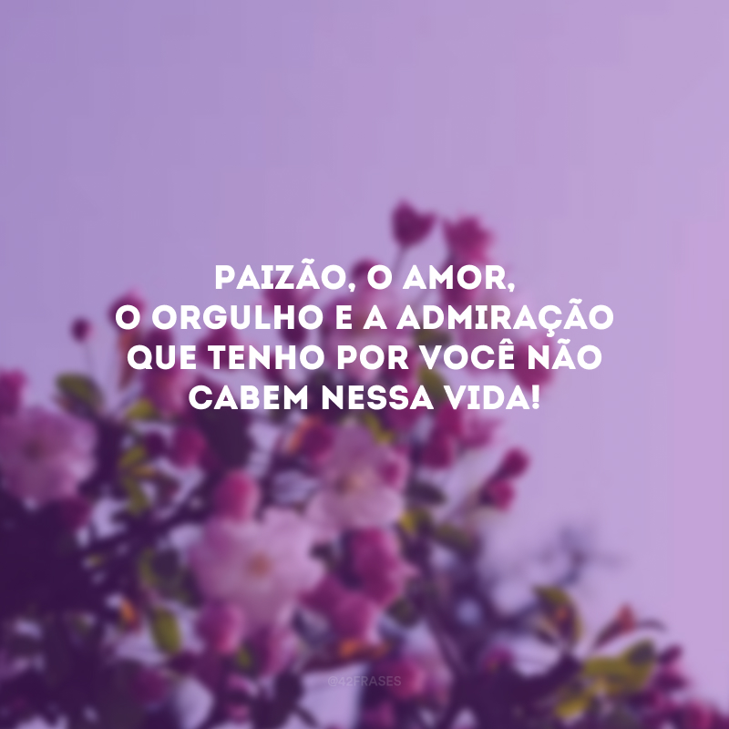 Paizão, o amor, o orgulho e a admiração que tenho por você não cabem nessa vida! 