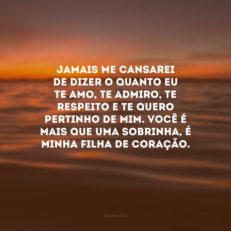 Jamais me cansarei de dizer o quanto eu te amo, te admiro, te respeito e te quero pertinho de mim. Você é mais que uma sobrinha, é minha filha de coração. 