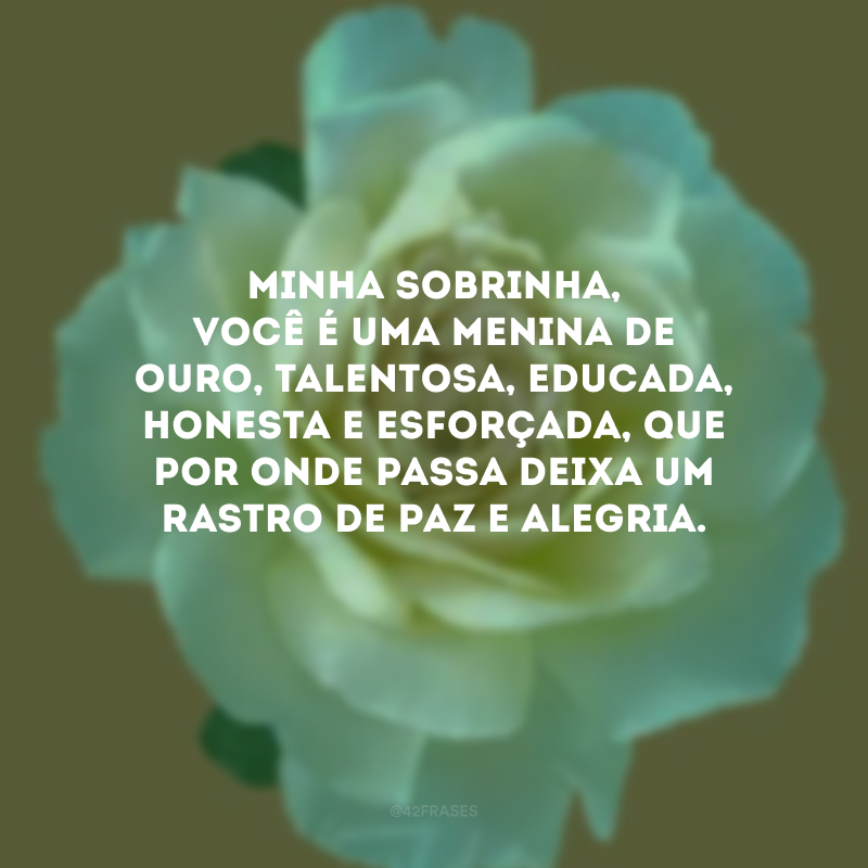 Minha sobrinha, você é uma menina de ouro, talentosa, educada, honesta e esforçada, que por onde passa deixa um rastro de paz e alegria. 