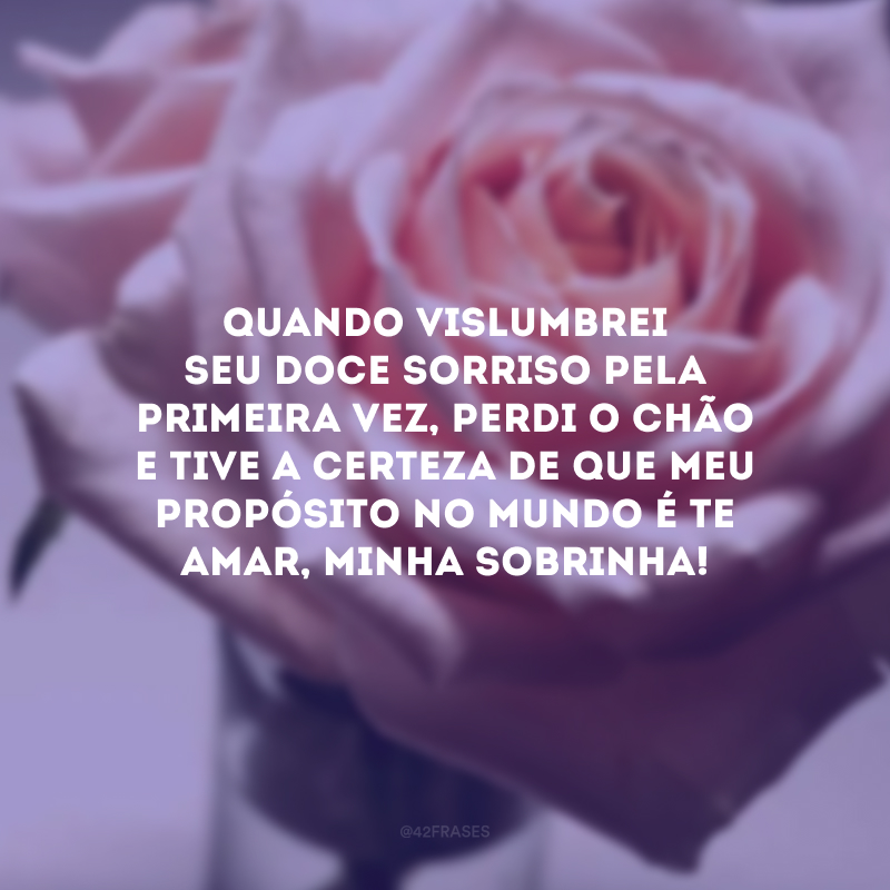 Quando vislumbrei seu doce sorriso pela primeira vez, perdi o chão e tive a certeza de que meu propósito no mundo é te amar, minha sobrinha! 