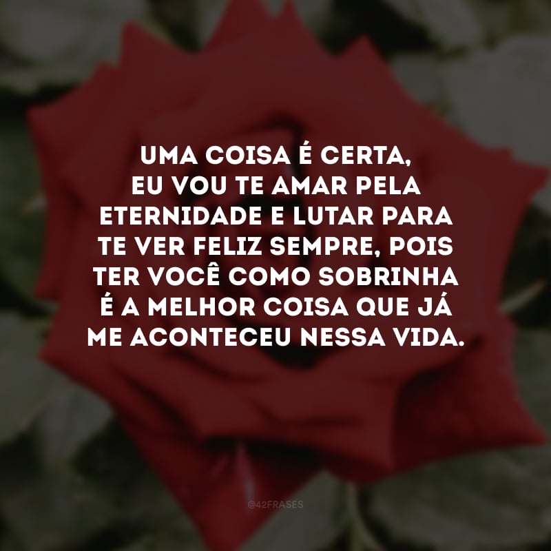 Uma coisa é certa, eu vou te amar pela eternidade e lutar para te ver feliz sempre, pois ter você como sobrinha é a melhor coisa que já me aconteceu nessa vida. 