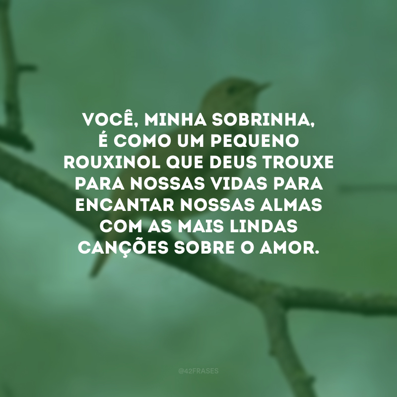 Você, minha sobrinha, é como um pequeno rouxinol que Deus trouxe para nossas vidas para encantar nossas almas com as mais lindas canções sobre o amor. 