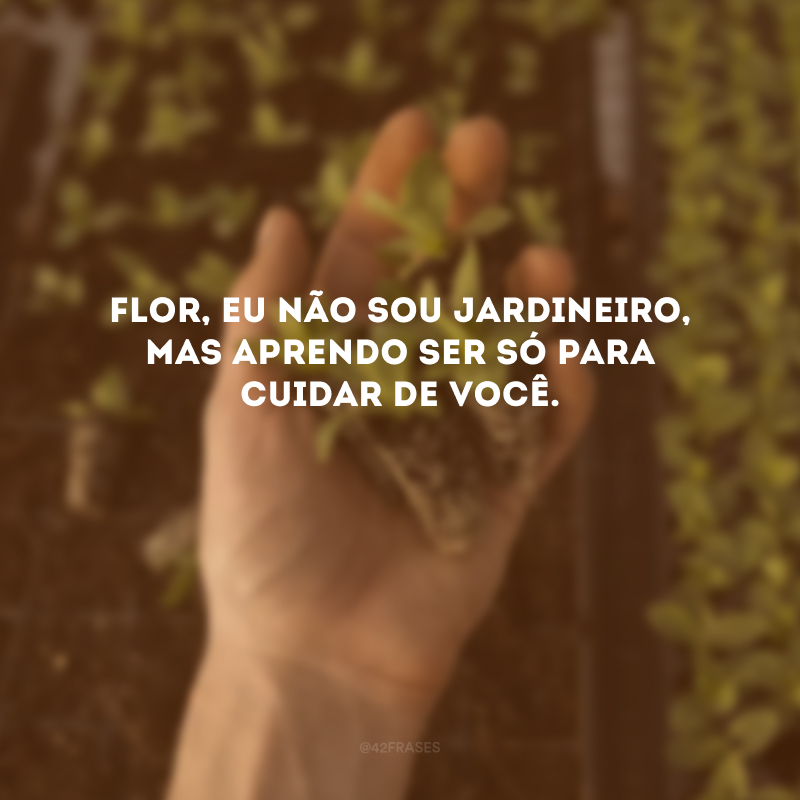 Flor, eu não sou jardineiro, mas aprendo ser só para cuidar de você. 