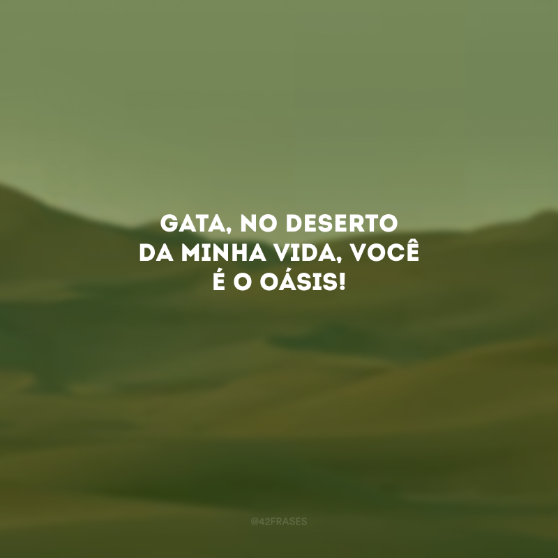 Gata, no deserto da minha vida, você é o oásis! 