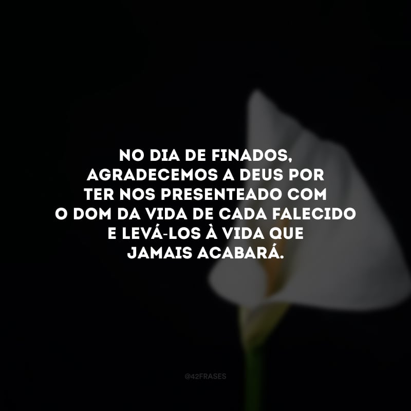 A morte não é o último descanso, mas o início do verdadeiro despertar. No Dia de Finados, agradecemos a Deus por ter nos presenteado com o dom da vida de cada falecido e levá-los à Vida que jamais acabará.