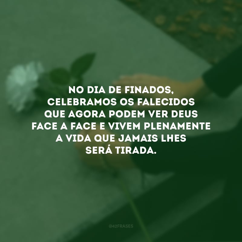 Ó morte, onde está sua vitória se o Senhor da vida nos conquistou para a vida eterna? No Dia de Finados, celebramos os falecidos que agora podem ver Deus face a face e vivem plenamente a vida que jamais lhes será tirada.