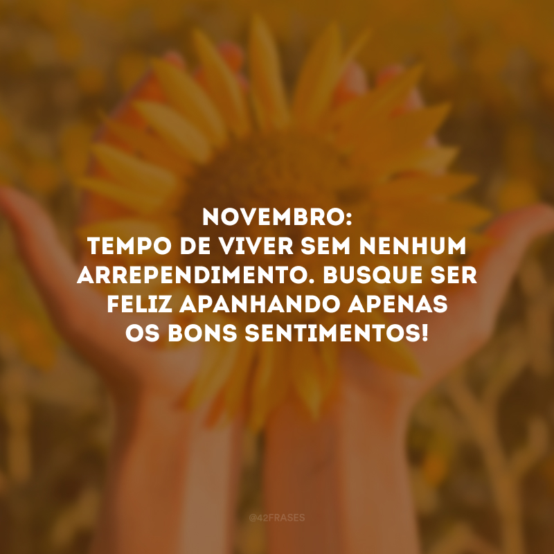 Novembro: tempo de viver sem nenhum arrependimento. Busque ser feliz apanhando apenas os bons sentimentos!