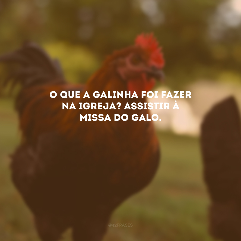 O que a galinha foi fazer na igreja? Assistir à Missa do Galo.