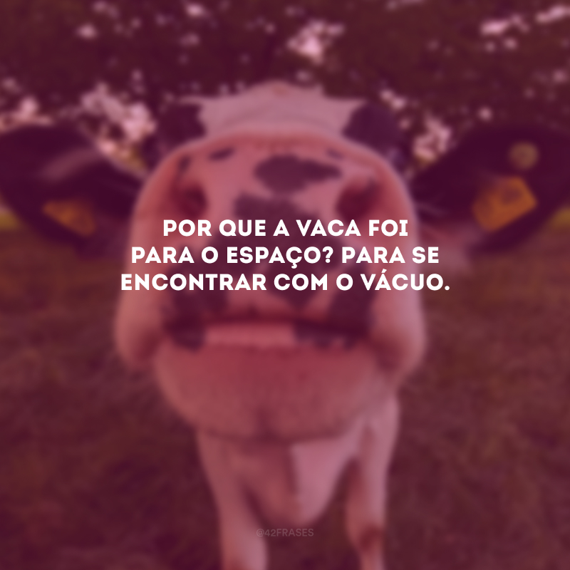 Por que a vaca foi para o espaço? Para se encontrar com o vácuo.