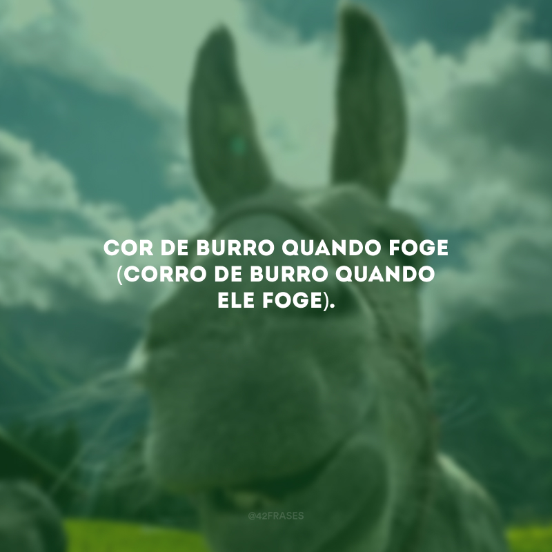 Cor de burro quando foge (corro de burro quando ele foge).