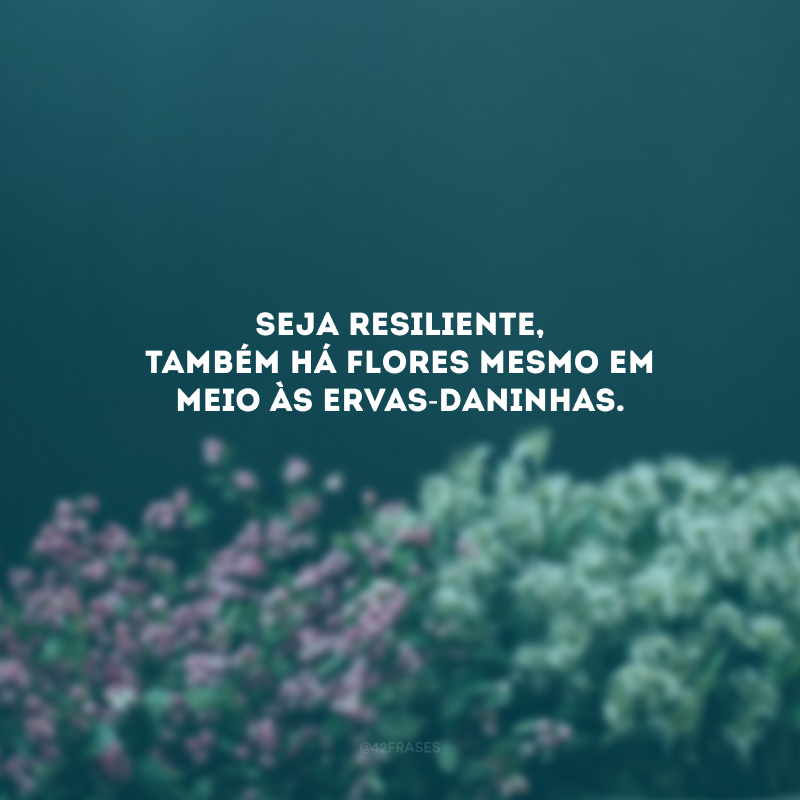 Seja resiliente, também há flores mesmo em meio às ervas-daninhas. 