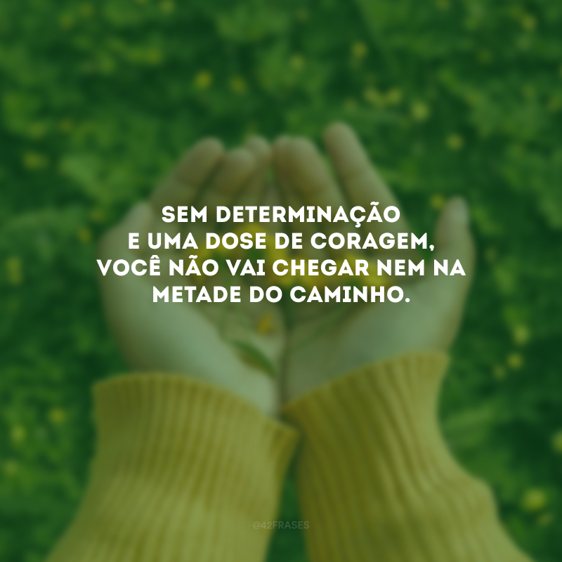 Sem determinação e uma dose de coragem, você não vai chegar nem na metade do caminho. 