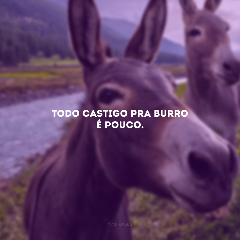 Todo castigo pra burro é pouco.