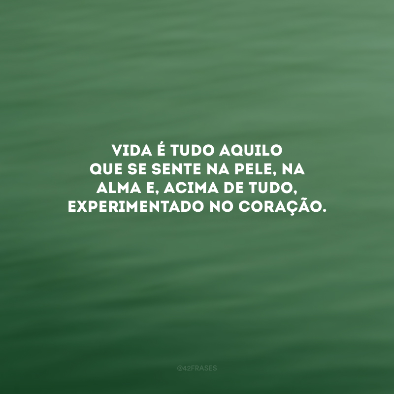 Vida é tudo aquilo que se sente na pele, na alma e, acima de tudo, experimentado no coração. 