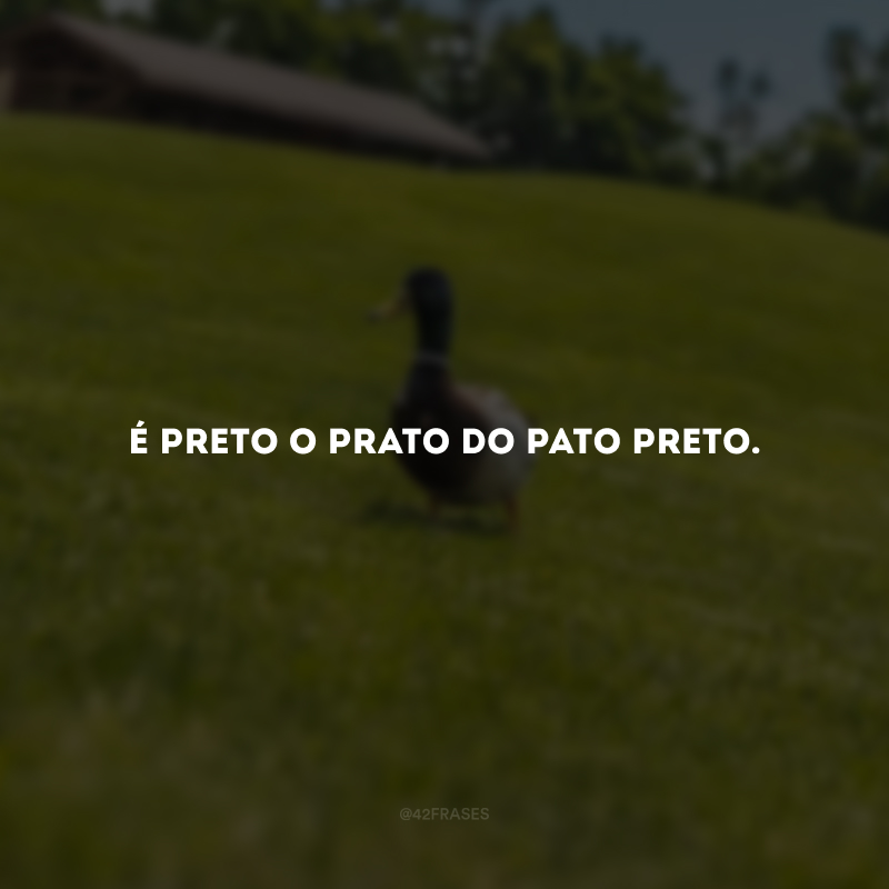 É preto o prato do pato preto.