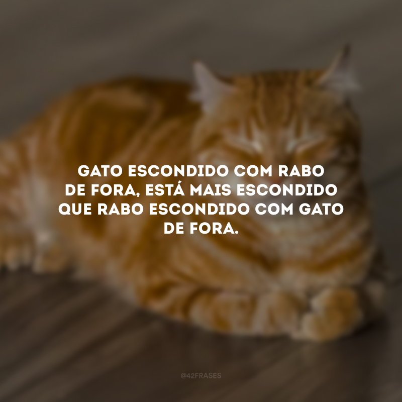 Gato escondido com rabo de fora, está mais escondido que rabo escondido com gato de fora.