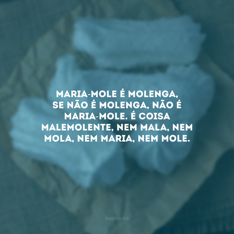 Maria-mole é molenga, se não é molenga, não é maria-mole. É coisa malemolente, nem mala, nem mola, nem Maria, nem mole.