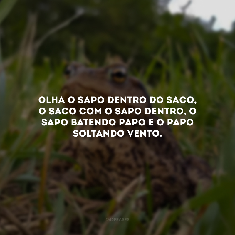 Olha o sapo dentro do saco, o saco com o sapo dentro, o sapo batendo papo e o papo soltando vento.