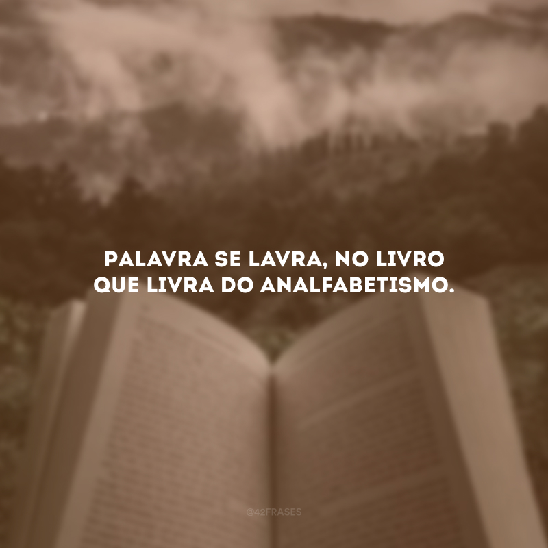 Palavra se lavra, no livro que livra do analfabetismo.