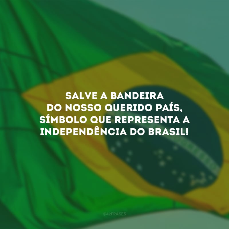 Salve a bandeira do nosso querido país, símbolo que representa a Independência do Brasil!