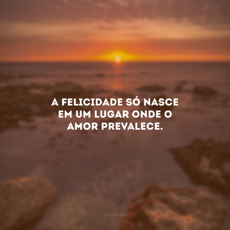 A felicidade só nasce em um lugar onde o amor prevalece.