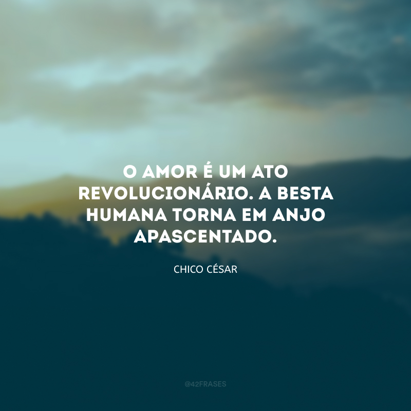 O amor é um ato revolucionário. A besta humana torna em anjo apascentado.