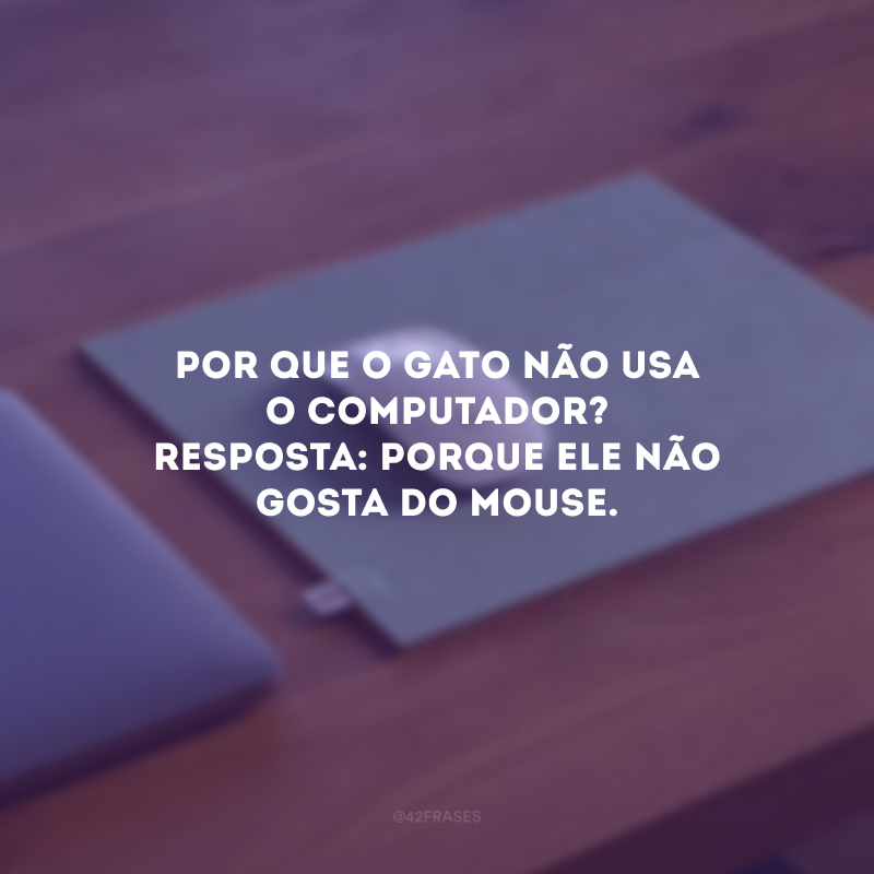 Por que o gato não usa o computador? Resposta: Porque ele não gosta do mouse. 