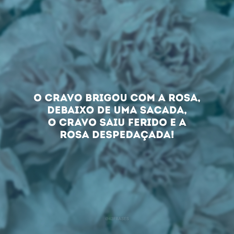 O cravo brigou com a rosa, debaixo de uma sacada, o cravo saiu ferido e a rosa despedaçada!