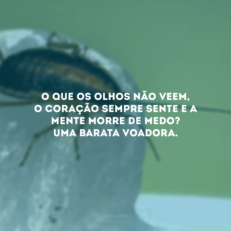 O que os olhos não veem, o coração sempre sente e a mente morre de medo? Uma barata voadora. 